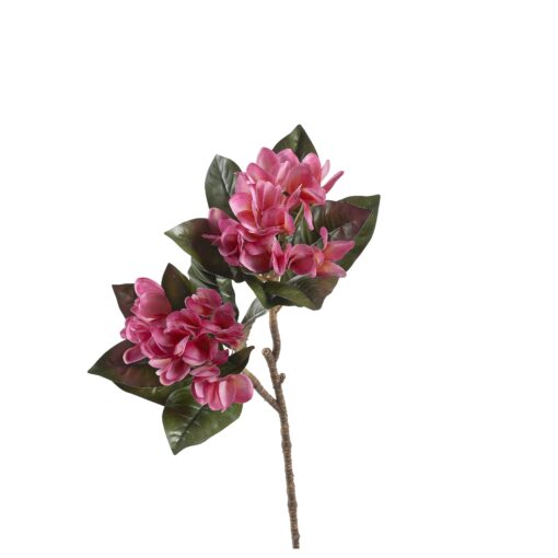 Magenta Frangipani - FL2583