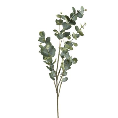 4' Eucalyptus Spray - GR2214