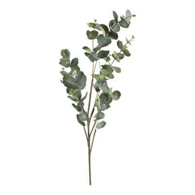 Eucalyptus Spray 4' - GR2214
