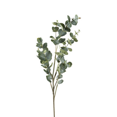 Eucalyptus Spray 4' - GR2214