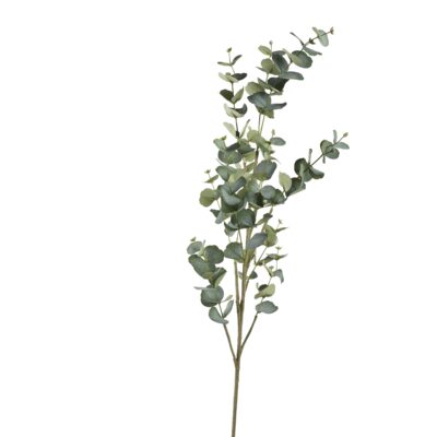 5' Eucalyptus Spray - GR2215