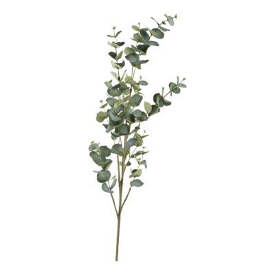 Eucalyptus Spray 5' - GR2215