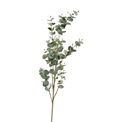 Eucalyptus Spray 5' - GR2215
