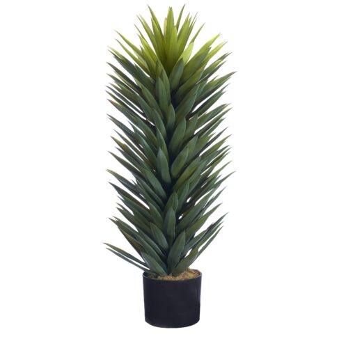48" Agave Sisalana Plant in Nursery Pot - TL1029