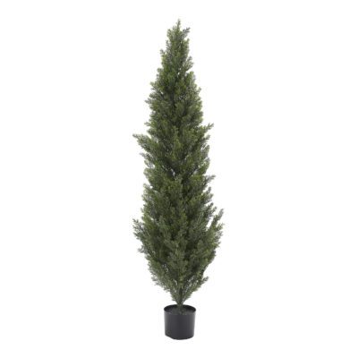 Cedar Topiary 5' - TL589