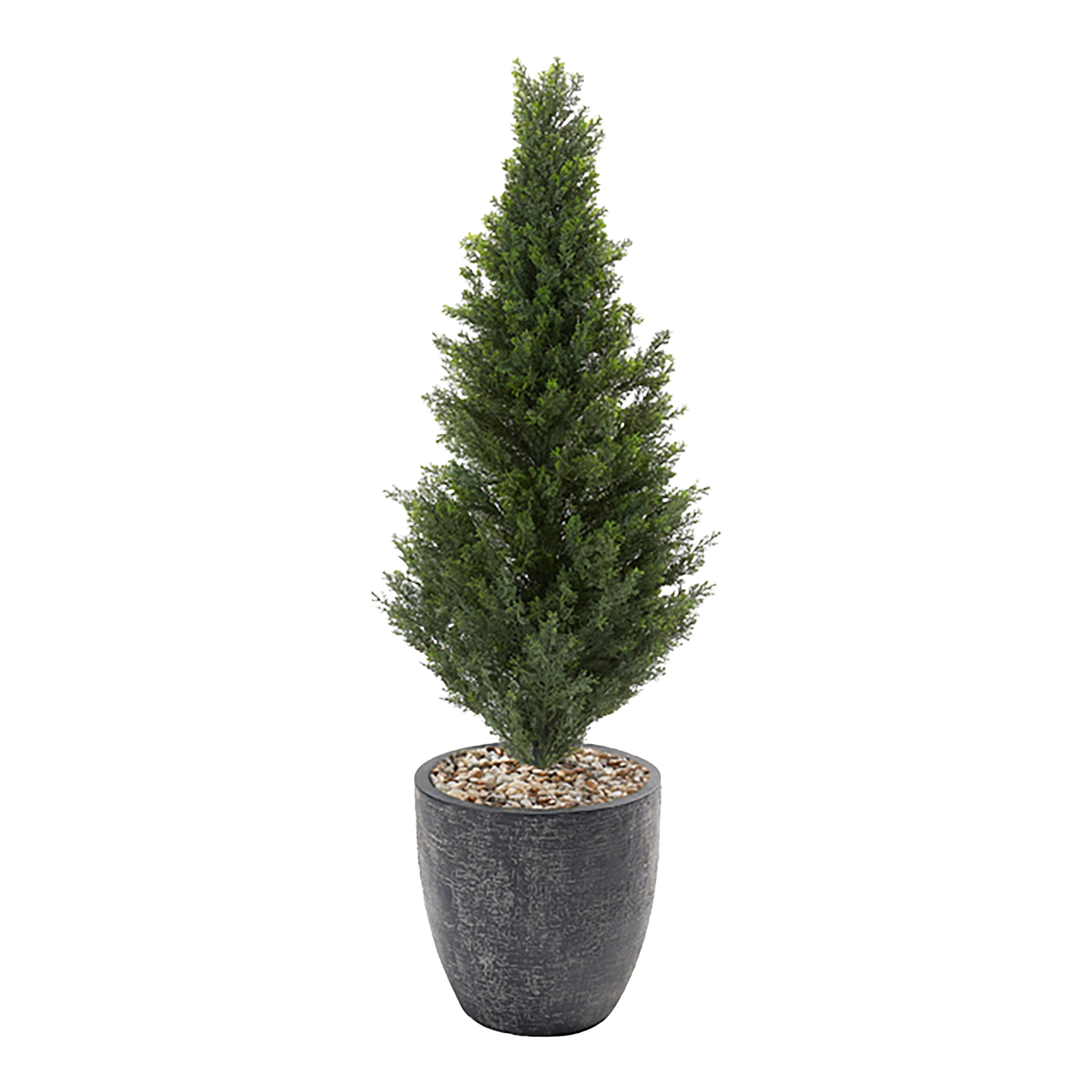 Cedar Topiary in Hudson Planter 4.5' - 1016-2823