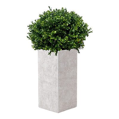 Overgrown Boxwood Ball in Everett Planter 3.4' - 1021-2778