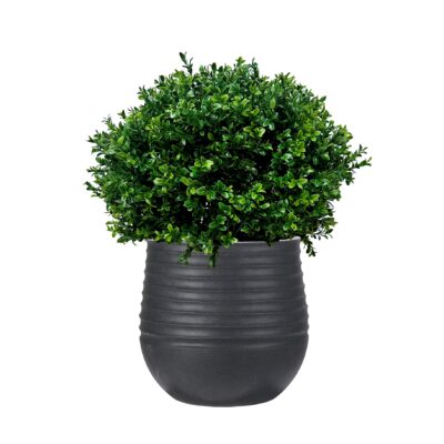 Overgrown Boxwood Ball in Small Black Mariella Planter - 1021-3047