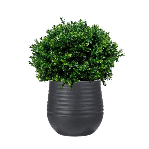 Overgrown Boxwood Ball in Small Black Mariella Planter - 1021-3047