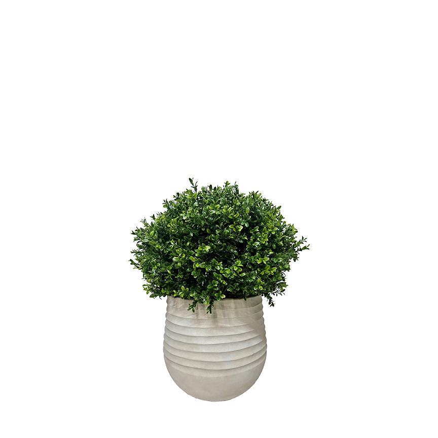 Overgrown Boxwood Ball in Mariella Planter 2.75' - 1021-3049