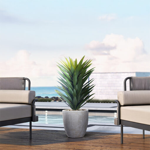 Agave Sisalana in Hudson Planter 3.3' - 1028-2819 - Image 2