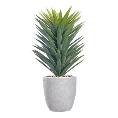 Agave Sisalana in Hudson Planter 3.3' - 1028-2819