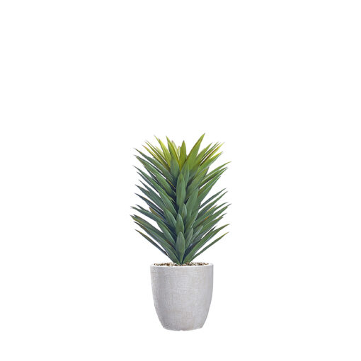 Agave Sisalana in Hudson Planter 3.3' - 1028-2819