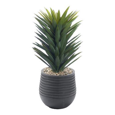 Agave Sisalana in Mariella Planter 3.4' - 1028-3047