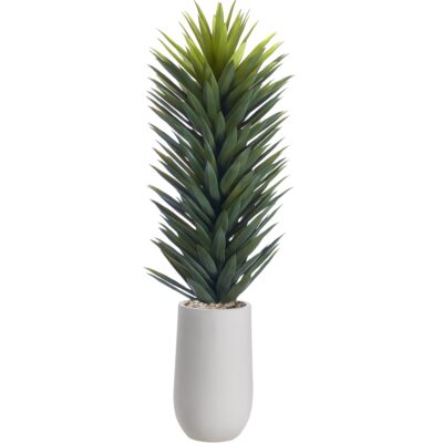 Agave Sisalana in Tall White Planter - 1029-2533