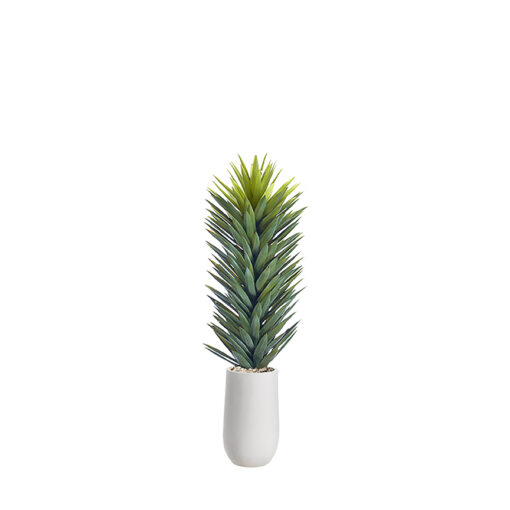 Agave Sisalana in Quinn Planter 5.3' - 1029-2533