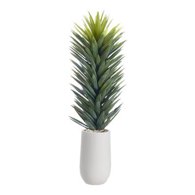 Agave Sisalana in Quinn Planter 5.3' - 1029-2533