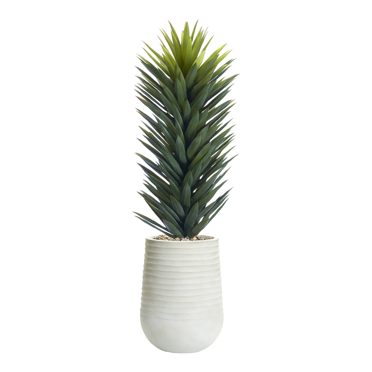 Agave Sisalana in Artemis Planter 5' - 1029-3051
