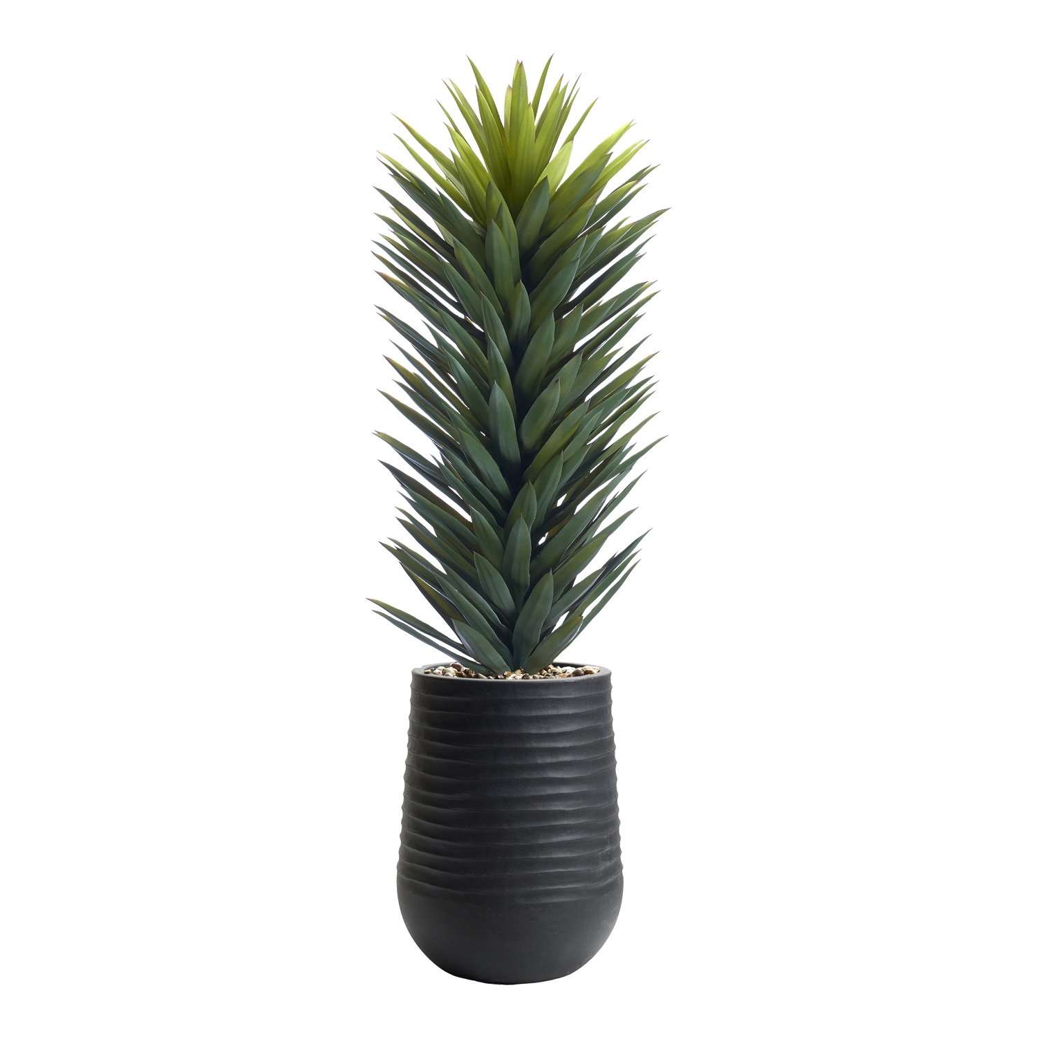 Agave Sisalana in Artemis Planter 5' - 1029-3053