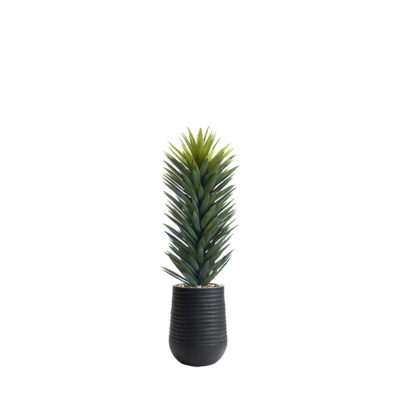Agave Sisalana in Artemis Planter - 1029-3053
