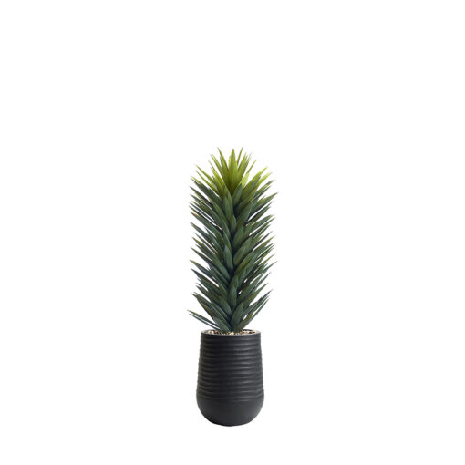 Agave Sisalana in Artemis Planter - 1029-3053