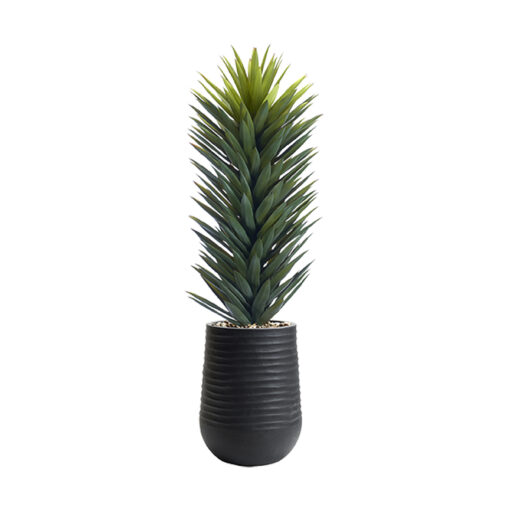 Agave Sisalana in Artemis Planter - 1029-3053 - Image 2
