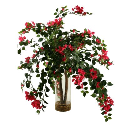 Bougainvillea in Cillian Vase - 169053