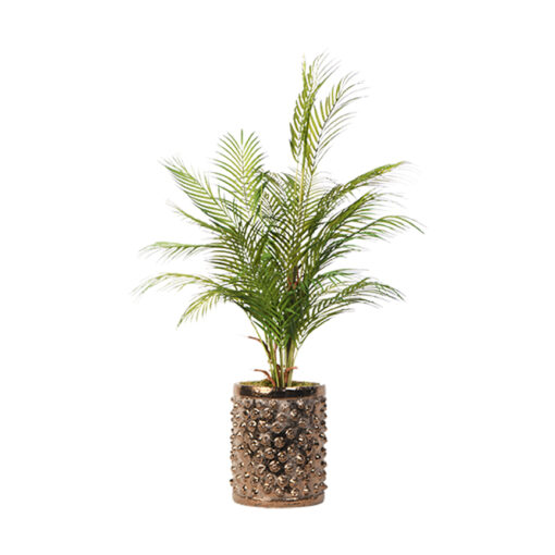 Areca Palm in Pierce Planter 3.8' - 21PV316 - Image 2