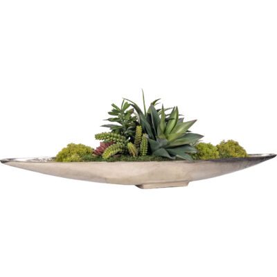 Aloe with Assorted Succulents in Denver Boat - 243009