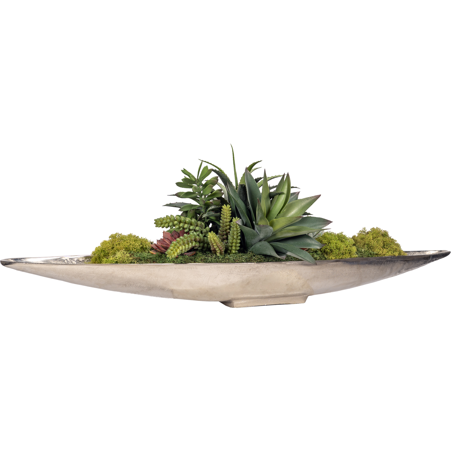 Aloe with Assorted Succulents in Denver Boat - 243009