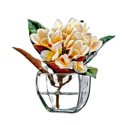 Cream Frangipani in Bevel Vase - 245002