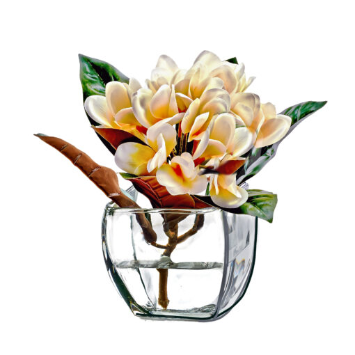 Cream Frangipani in Bevel Vase - 245002