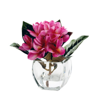 Beauty Frangipani in Bevel Vase - 245003