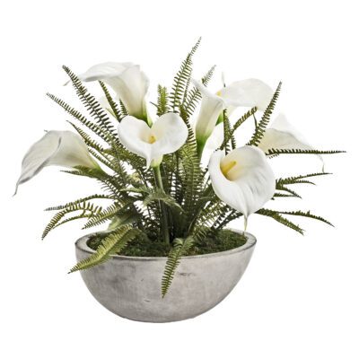 Calla Lilies & Ferns in Newport Bowl - 245004