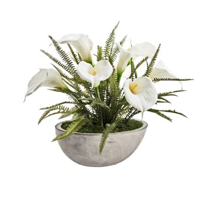 Calla Lilies and Ferns in Newport Boat - 245004