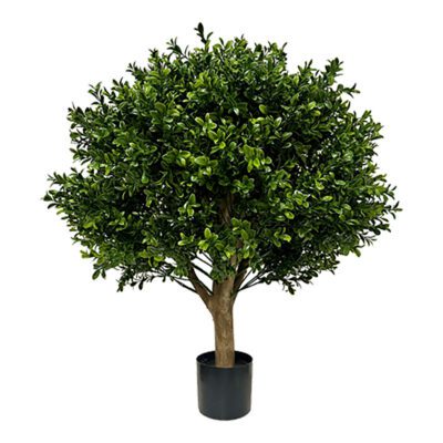 Overgrown Boxwood Ball - TL1021