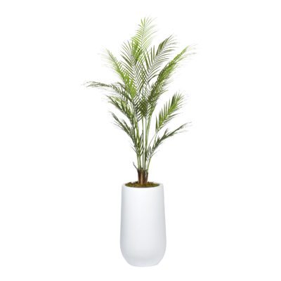 Areca Palm in Quinn Planter 5.3' - 1025-2532