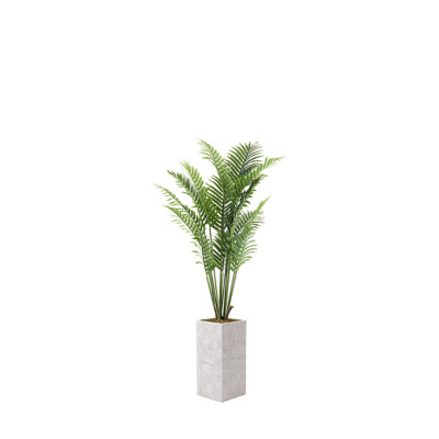 Kentia Palm in Everett Planter 5' - 1030-2778