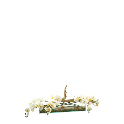 Natural Touch Orchids & Ghostwood in Aquaria Vase - 141052