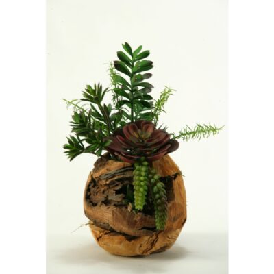 Mixed  in Wooden Root Ball - 167021