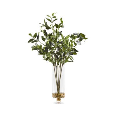 Bay Leaf Branches in Cillian Vase - 174015