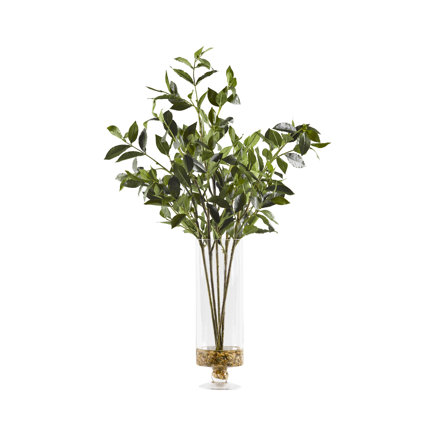 Bay Leaf Branches in Cillian Vase - 174015