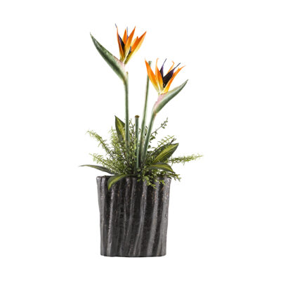 Bird of Paradise in Large Ripple Planter - 174021
