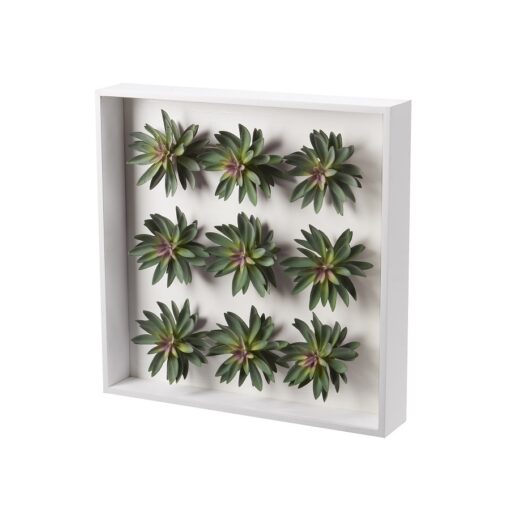 Wall Hanging Echeverias - 197014