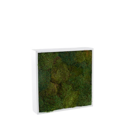 Wall Hanging Mood Moss - 197038