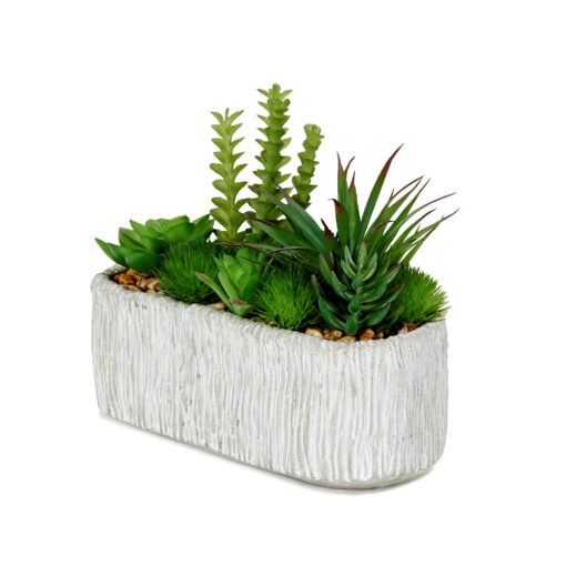 Assorted Succulents in Oblong Cement Planter - 203141
