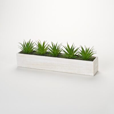 in Rectangle Planter - 203153