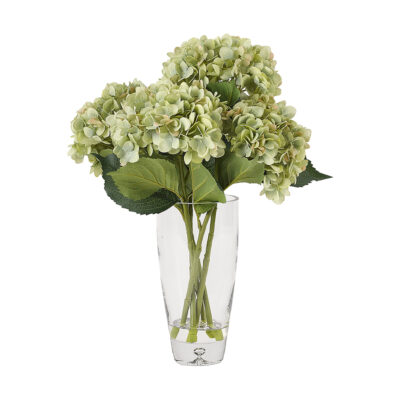 Green Hydrangeas in Glass Vase - 209131