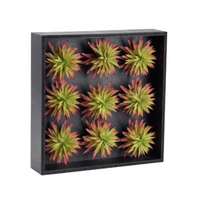 Large Wall Hanging Green/Pink Single Stem Succulents - 212121