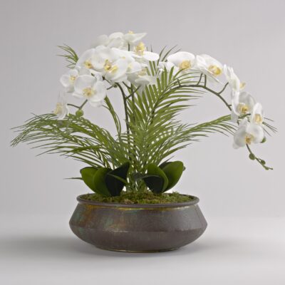 White Phael Orchids in Small Virtu Planter - 212137